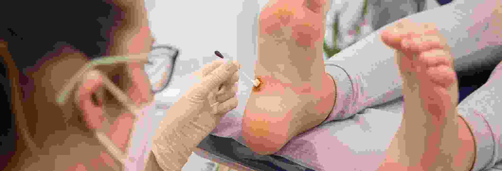 ambit.livadigitalhub.com